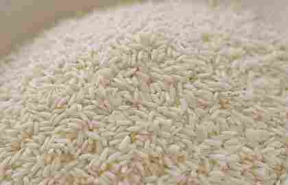 Glutinous Sticky Rice