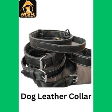 Brown Leather Ultimate Padded Dog Collar Export
