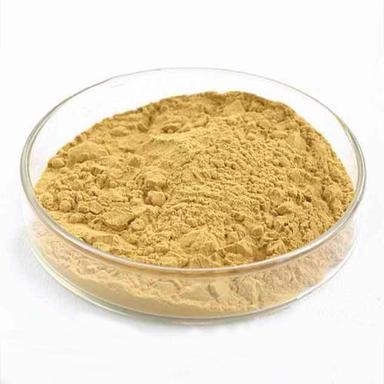 High In Protein Yeast Extract Powder