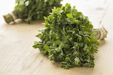 Aromatic Herb Marjoram Leaves Age Group: Suitable For All