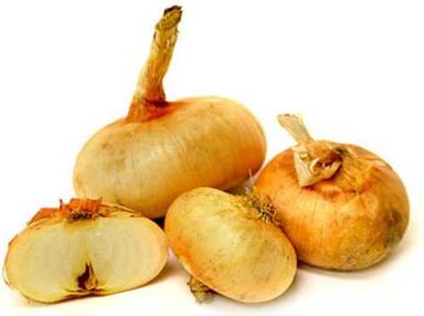 Pesticide Free Cipollini Onion Shelf Life: 15 Days