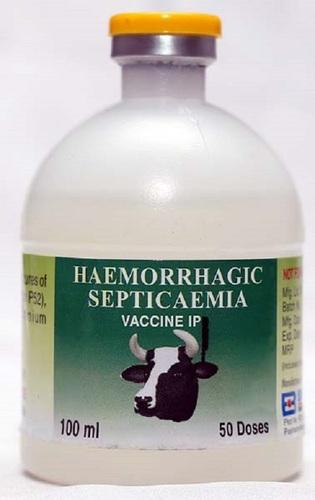 Rubber Hemorrhagic Septicemia Vaccine For Veterinary Use