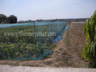 Blue Anti Bird Net For Agriculture