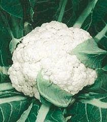 Cauliflower Seeds