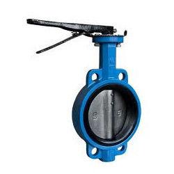 Blue And Black Manual Butterfly Valves