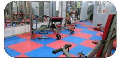 Red And Blue Eva Judo Flooring