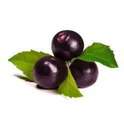 Acai Berry Extract Age Group: For Adults