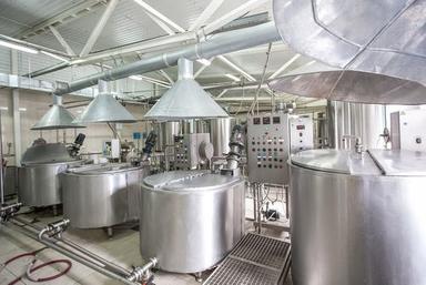 Food processing Plant & Machinery