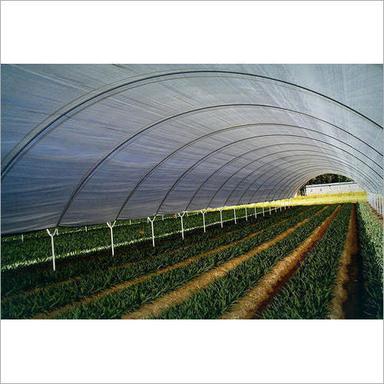 Poly Greenhouses Film All