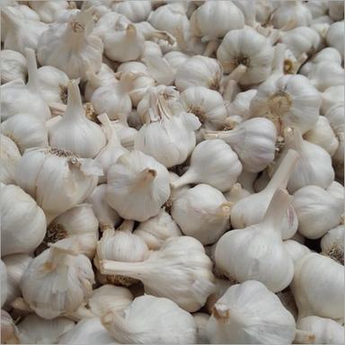 White Organic Garlic Bulbs