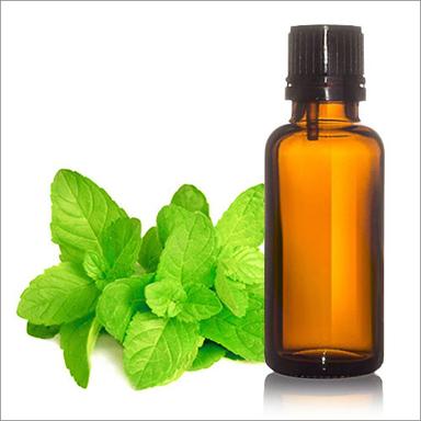 Mentha Spicata Oil Ingredients: Herbal Extract