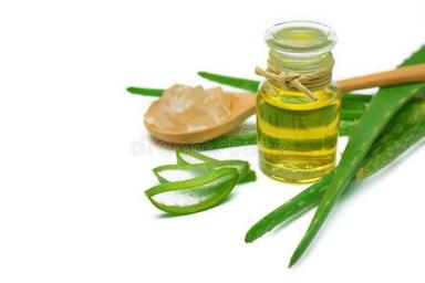 Aloe Vera  Essential Oil Age Group: All Age Group