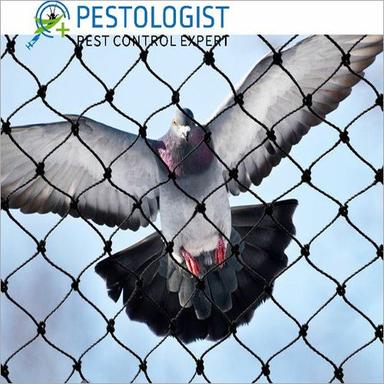HDPE Bird Protection Net