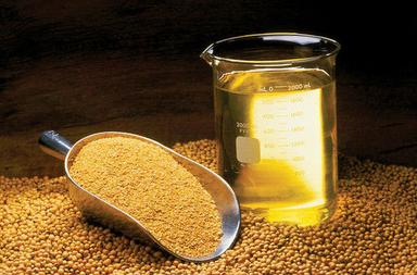 Common Soybean Oil