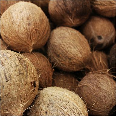 Organic Mature Coconut