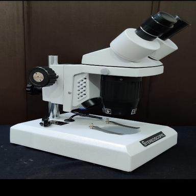 White Stereo Microscope