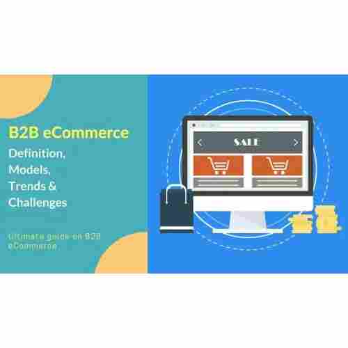 B2B Ecommerce Portal Service