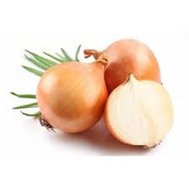 Natural Yellow Onion
