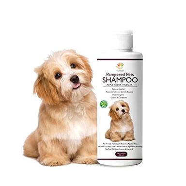 Pampared Pets Shampoo Size: Customized
