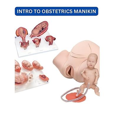 Intro to Obstetrics Manikin