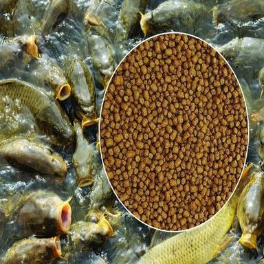 High Quality Rohu Fish Feed