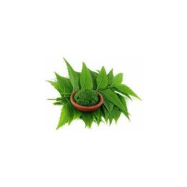 Green Neem Leaf Extract