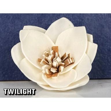 White Twilight Sola Flower
