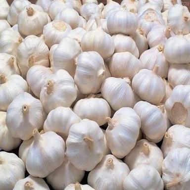 Fresh Garlic Moisture (%): 0%