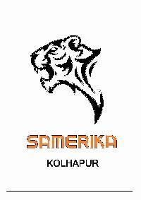 Samerika Safe Company