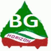 Bg Horizon Energy and Infra Pvt Ltd