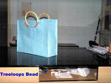 Treeloops Beaded Fancy Bags