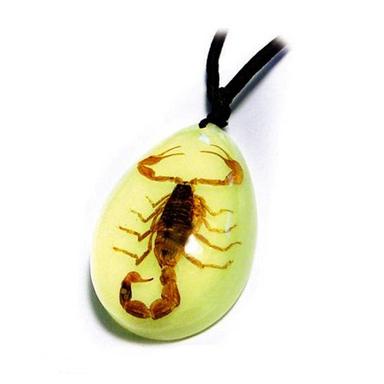 Oval Real Insect Amber Necklace Pendant