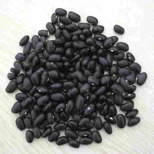 Black Kidney Bean