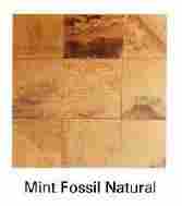 Mint Fossil Natural Stone