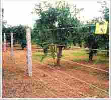 Agriculture Fencing 