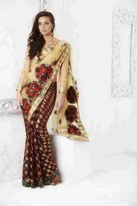 Aesthetic Beige Brown And Burgundy Embroidered Saree