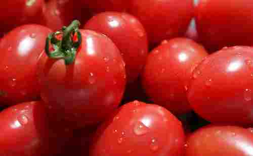 100% Natural Fruit Extract Tomato Extract (Lycopene)