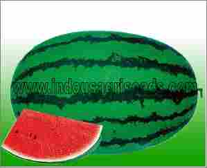 Watermelon Hybrid Seeds 