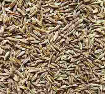 Cumin Seed