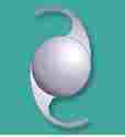 Intraocular Lens