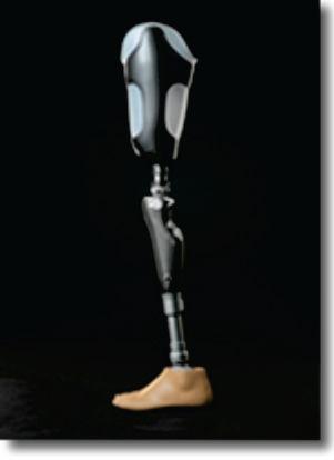 Artificial Leg