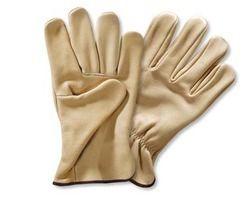 Premium Waterproof Gloves