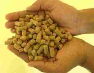 Pashu Aahar (Cattle Feeds)