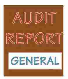 Annual Environmental Audit Report Services