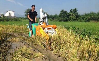 Mini Combine Harvester