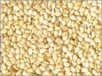 Roasted Hulled Sesame Seeds