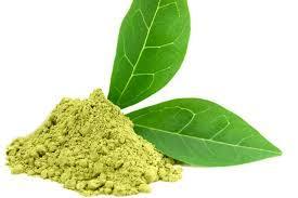 Natural Green Tea Extract