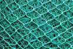 Carpet Net