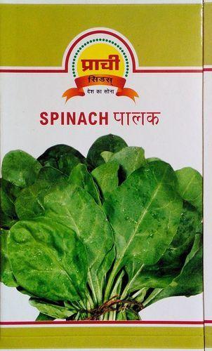 Spinach (Paalak) Seeds