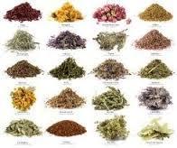 Indian Herbs